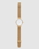 TWM004C (36mm Medium Size Face) Gold Mesh