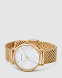 TWM004C (36mm Medium Size Face) Gold Mesh