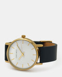 TWT004M (36MM Medium Face) Gold White Navy